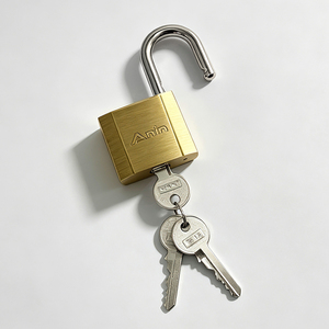 Cadenas carré en laiton robuste avec clés, corps en laiton massif, serrure de sécurité pour porte, portail, armoire - Product Image 4