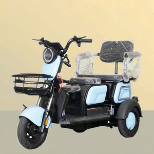 Triciclo Eléctrico Compacto de 1000W con Certificación CE, 48V, 100kg, 30km/h, Autonomía de 30-50km, Triciclo Abierto para Pasajeros - Product Image 2