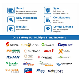 Batteries au lithium LiFePO4 <span class=keywords><strong>8000</strong></span> cycles 51,2 V 5 kW 15 kW 280 Ah 314 Ah 48 V 10 kW 16 kW 15 kWh pour systèmes solaires - Product Image 4
