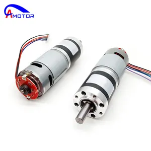 New Arrival Custom Robot 42mm 12V 24V OEM Brush Planetary Gear DC Motor