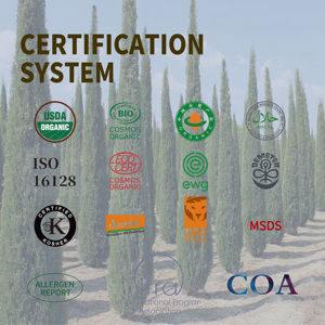 Aceite Esencial de Ciprés Puro (Cupressus Sempervirens) |   <span class=keywords><strong>Astringente</strong></span> Potente para <span class=keywords><strong>Piel</strong></span> <span class=keywords><strong>Grasa</strong></span> y Soporte para Venas Varicosas - Product Image 3