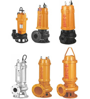 Pompe à eaux usées agricoles portable à moteur électrique fileté DN50, 1,1 kW, 1,5 kW, 2,2 kW, avec bobine en cuivre pur et carter solide