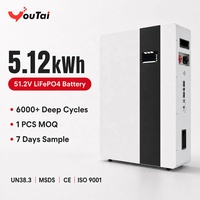 Batterie solaire LiFePO4 murale 51,2 V 100 Ah CAN pour stockage d'énergie domestique, alimentation de secours hors réseau, stations de base télécom, UPS (modulaire)