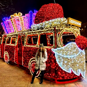 Décoration lumineuse créative à LED en forme de train de Noël pour jardin familial, complexe hôtelier et exposition sur le thème des fêtes - Product Image 1
