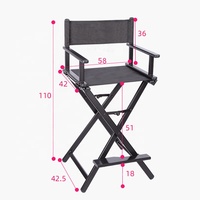Chaise de Maquillage Professionnelle Pliante en Alliage d'Aluminium de Haute Qualité, Fauteuil de Réalisateur Extérieur pour Beauté et Loisirs