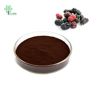 Dâu tằm bột trái cây 20% c3g bột chiết xuất <span class=keywords><strong>25</strong></span>% anthocyanin - Product Image 3