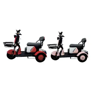 2024 used multipurpose long range electric motorcycle enclosed adult pedal scooter cargo rickshaw cargo tricycle electric