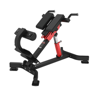 Nouveaux Styles chaise romaine commerciale/banc d'extension arrière chaise romaine pour équipement de Fitness de gymnastique musculation