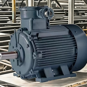 Motor Asíncrono Trifásico a Prueba de Explosiones, Motor Trifásico de Corriente Alterna, Motor YBX3-355L4-6-315KW - Product Image 2