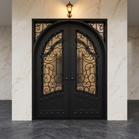 Porte d'entrée double en fer forgé cintrée de luxe avec vitrage, style français, pour villa