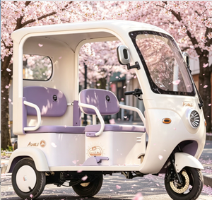 Soldes Exceptionnelles Vente Directe Usine <span class=keywords><strong>Moto</strong></span> Tricycle 150cc Semi-fermée à Essence Sensation de Sécurité Utilisation Quotidienne Polyvalente - Product Image 6
