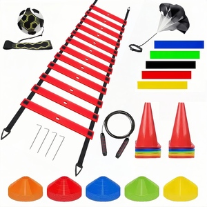 2026 Venta al por mayor de fábrica: Set de escalera de agilidad plegable, equipo de entrenamiento de velocidad para fútbol y fútbol americano, para niños, jóvenes y adultos - Product Image 3