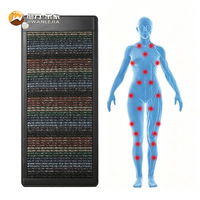 Jiwan Lejia Matelas chauffant personnalisé en améthyste et tourmaline, tapis de massage thermique en pierre pour la récupération sportive (vente en gros)