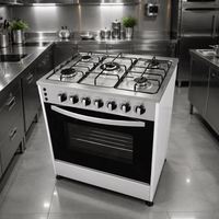 Table de cuisson à gaz 5 brûleurs avec four et grill, certifiée SGS, dispositif anti-flamme, vente en gros directe usine pour bistro