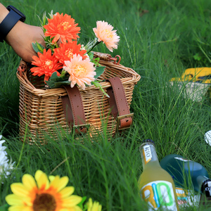 Nhà Máy Trực Tiếp Bán Buôn Hot Bán Nửa Vòng Phía Trước <span class=keywords><strong>Wicker</strong></span> Xe Đạp Giỏ Với Dây Đeo Bằng Da - Product Image 6