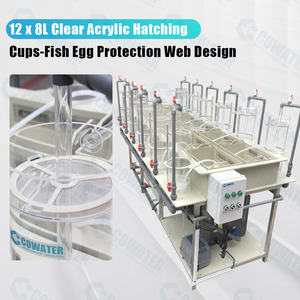 Sistema de Incubadora de Ovos Cowater em PP de Grau Alimentício Durável, Modelo CW-FH-05 para Operações de Criação de Peixes em Pequena Escala - Product Image 2