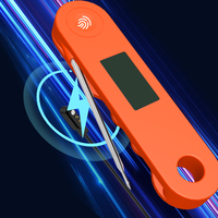 Thermomètre numérique étanche IP68 Lonnmeter à batterie rechargeable, pliable à 180 degrés, pour four, barbecue et cuisson de la viande