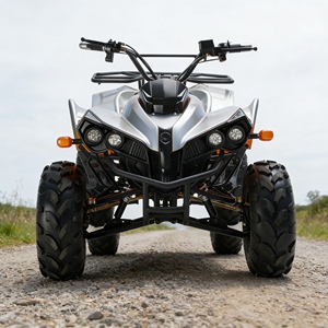 Kart <span class=keywords><strong>électrique</strong></span> de haute qualité 4x4 à quatre roues motrices homologué pour la route pour adultes, tout-terrain, drift, conduite hors route 1000W/<span class=keywords><strong>2000W</strong></span> - Product Image 1