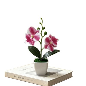 Orquídeas Phalaenopsis Artificiales Paulon de 19 Pulgadas en Plástico Realistas para Decoración de Bodas y Hogar, Plantas en Maceta - Product Image 5