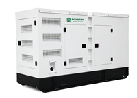 Groupe électrogène diesel haute qualité 600 kVA 800 kVA avec régulateur de tension automatique AVR pour usage industriel