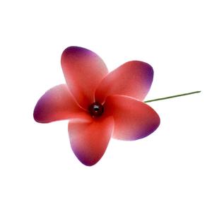 Fleurs en forme de tête de mousse EVA, design hawaïen, avec perle au centre, pour décoration de fête de mariage, pour femmes et filles, nouvelle collection 2020 - Product Image 2