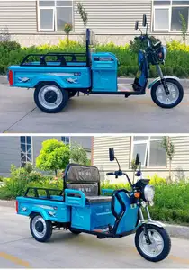 China Cheap Price E-Trikes 3 Wheel Cargo Electric Tricycles Motorcycle Motorized Tricycles