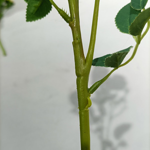 Yo cho — Bouquet de roses en soie à longue tige, fleurs artificielles en plastique, pour décoration de Table, de mariage, à la maison - Product Image 6