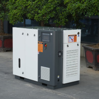 Compresseur d'air à vis à vitesse variable monophasé 37 kW 50 CV, certifié CE ISO, à efficacité maximale
