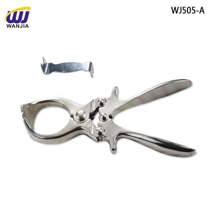 Émasculateur Vétérinaire 9 Pouces - Pince Castration Sans Effusion De Sang Pour Bovins, Ovins