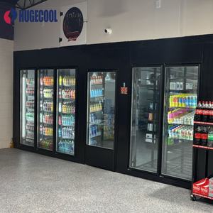 הליכה תצוגה קריר ומקפיא עם דלת זכוכית ומדף - Product Image 1