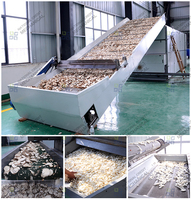 Industriële groente- en fruitdroger, cassave drooglijn, cassave chips droogmachine