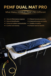 Máquina de Estimulación Magnética de Alta Tesla para Reparación Muscular de Cuerpo Completo Humano y Equino, Tapete PEMF, Terapia Magnética, Mejor Relación Calidad-Precio - Product Image 2