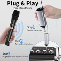 Systèmes de microphones sans fil professionnels pour scène, karaoké, microphone sans fil portable pour chant, événements festifs