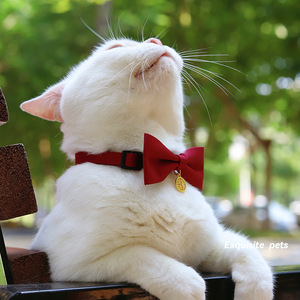 Corbata de lazo roja de color sólido para perros, accesorio para collar de mascotas, decoración para bodas de perros y gatos, uso en las cuatro estaciones. - Product Image 2