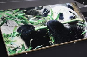 Máy in <span class=keywords><strong>UV</strong></span> đa chức năng A3--l805 tốc độ cao, in trên kim loại, gỗ, máy in <span class=keywords><strong>UV</strong></span> khổ lớn - Product Image 6