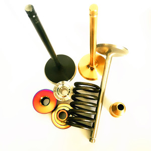 Kit valve d'admission et d'échappement Tu5j4, haute qualité, 2 sets, ressorts <span class=keywords><strong>à</strong></span> double piston, pour <span class=keywords><strong>citroën</strong></span> <span class=keywords><strong>Saxo</strong></span> 1.6 16V VTS - Product Image 4