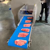 Machine à trancher la viande congelée pour la production de saucisses et de produits carnés