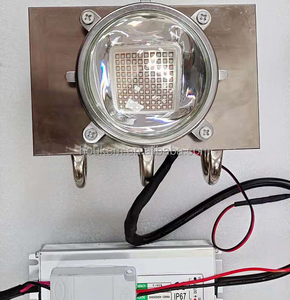 โมดูลนำซังแบบกำหนดเอง100W 200W 300W 400W 500W สีฟ้า - Product Image 1