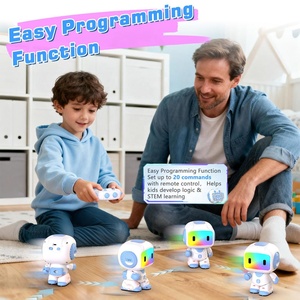 <span class=keywords><strong>2</strong></span>.4G akıllı RC programlama Robot oyuncak şarj edilebilir akıllı uzaktan kumanda kayıt dans LED yüz ve müzik ile robotik - Product Image 6