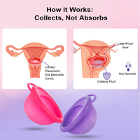 Copa Menstrual Reutilizable de Silicona Médica de Marca Privada, Fácil de Limpiar, para Usar hasta 12 Horas