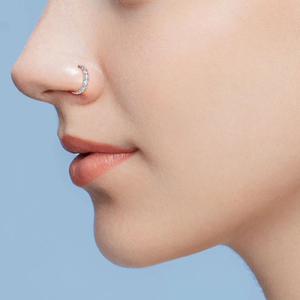 Anneau de nez en titane ASTM F136 16G, segment de cartilage, boucle d'oreille <span class=keywords><strong>Tragus</strong></span>, hélix, daith, septum clicker avec zircon cubique, bijoux de <span class=keywords><strong>piercing</strong></span> - Product Image 2