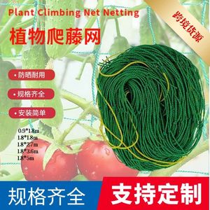 Filet de jardin Chengye vert 18x27 mailles carrées pour plantes grimpantes, concombres et tomates - Product Image 5