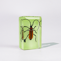 Taxidermie Creative New Lumineux Ambre Insecte Réel Insecte Artisanat Résine Spécimen Rouge Bugs Glowing Spécimen