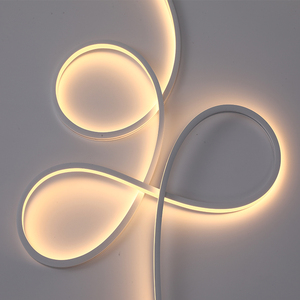 ไฟซิลิโคนแถบไฟนีออนยืดหยุ่น24V 8x8มม. ชุดเรืองแสงเปล่งแสงด้านหน้าสำหรับใช้ในบ้านและเชิงพาณิชย์ - Product Image 1