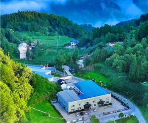 恩施玉露有机健康冷酿工夫高山文山礼盒310克中国硒都新鲜红茶生广告 - Product Image 6