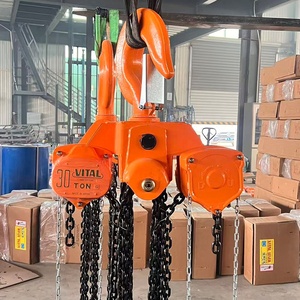 3 Metre Kaldırma Yüksekliğine Sahip Zincirli Vinç 1 Ton 2 Ton Zincirli Vinç Fiyatı 10 Ton Zincirli Blok - Product Image 4