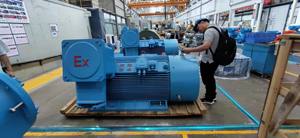 Caja de aluminio Teco 220KW China Motor eléctrico ye3 IP55 - Product Image 3