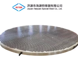 CNC İşleme Paslanmaz Çelik Baffle Boru Plakası 20cr2ni4a <span class=keywords><strong>304</strong></span> Alaşımlı Yapısal Çelik Dövme Hizmetleri ASTM/ASME Sertifikalı - Product Image 2