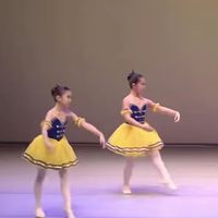 Vestido de tutú de Año Nuevo para niñas, disfraz de actuación, vestido de ballet profesional con lentejuelas para guardería, para niñas