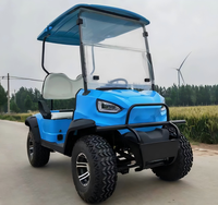 Voiturette de golf légère 300CC 4 temps tout-terrain 2 places à essence pour le golf personnel et la cour